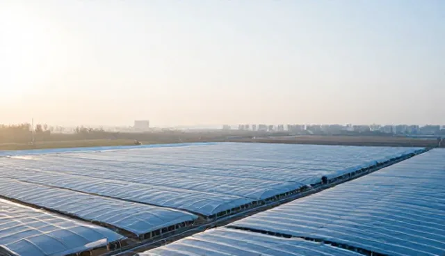 提升项目执行效率的行业调研报告使用建议